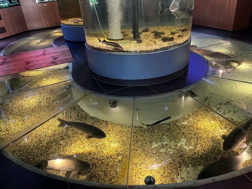 jarvemuuseum-028-visit-estonia