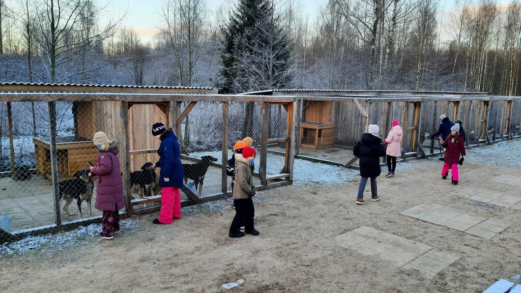 Children and adults visit the Sled Dog Training Center in the winter forest of Southern Estonia.