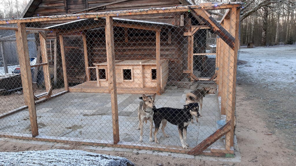 kelgukoerte-treeningkeskuse-kulastus-010-visit-estonia