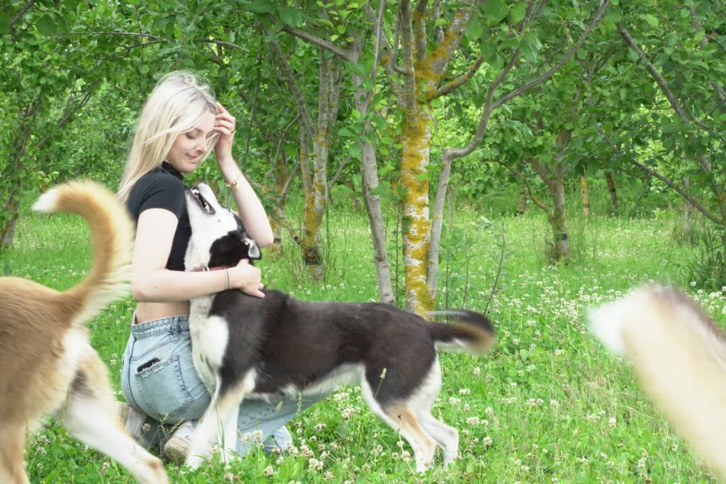 kennel-agirregoikoa-pohjamaiste-kelgukoerte-kasvatuse-kulastus-tartumaal-018-visit-estonia