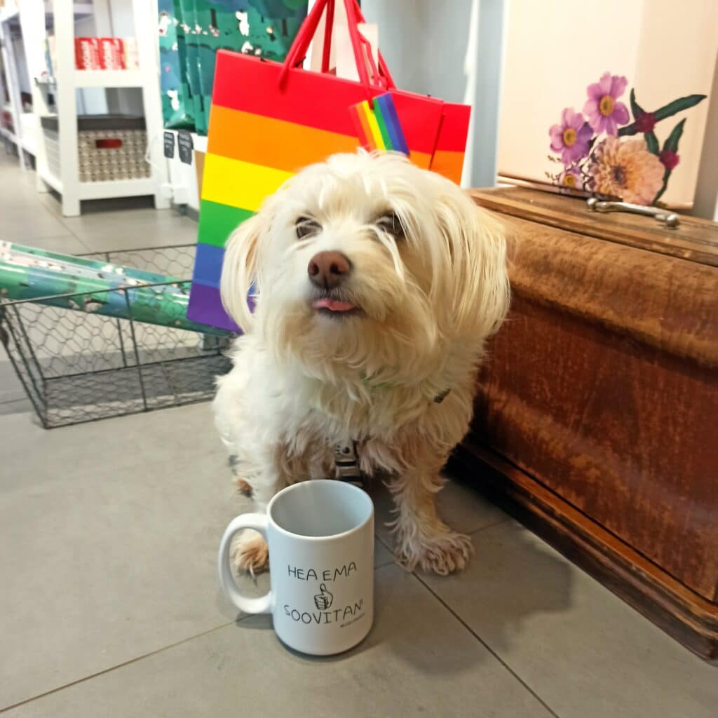 kingipood-kiiks-ja-knihv-013-visit-estonia