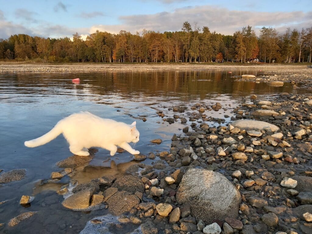 kiviranna-puhkemaja-maru-017-visit-estonia