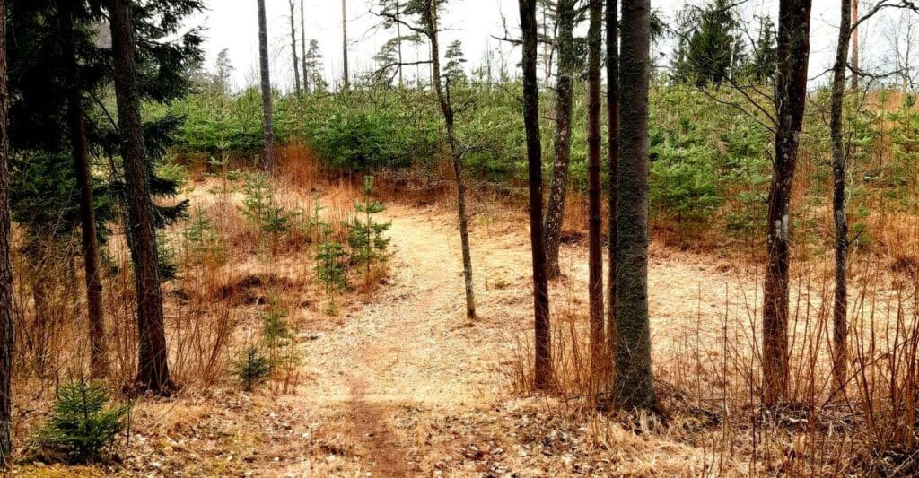 kopsumae-terviserada-kambja-terviserajad-maigi-lokko-visit-tartu-visit-estonia.jpg-3