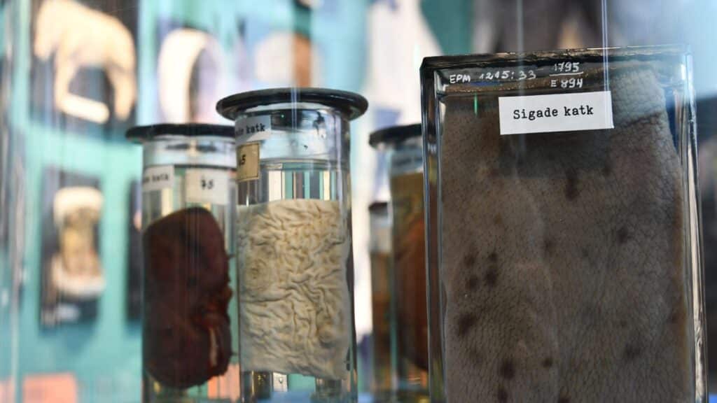 maaelu-uudishimukeskus-003-visit-estonia