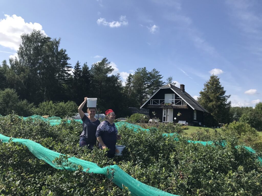 metsa-talu-mustikaistandiku-ja-rooswald-red-veinikoja-kulastus-004-visit-estonia