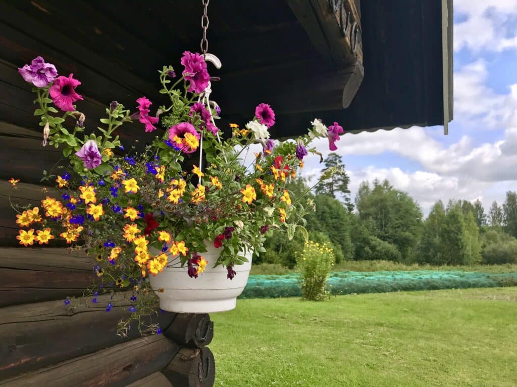 metsa-talu-mustikaistandiku-ja-rooswald-red-veinikoja-kulastus-010-visit-estonia