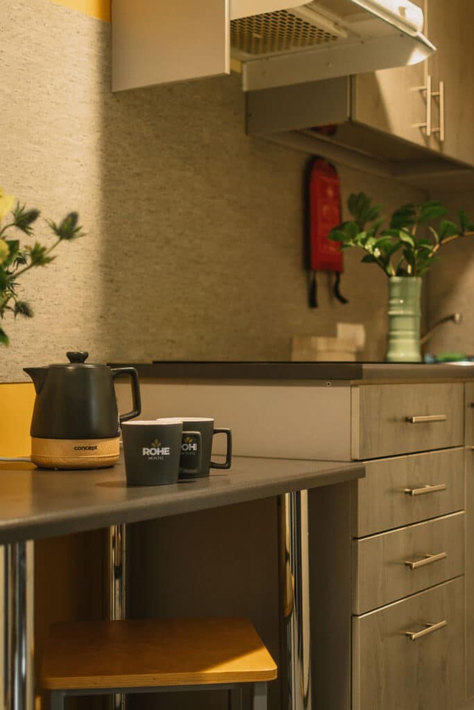 monusalt-roheline-oobimine-tartus-008-visit-estonia-17