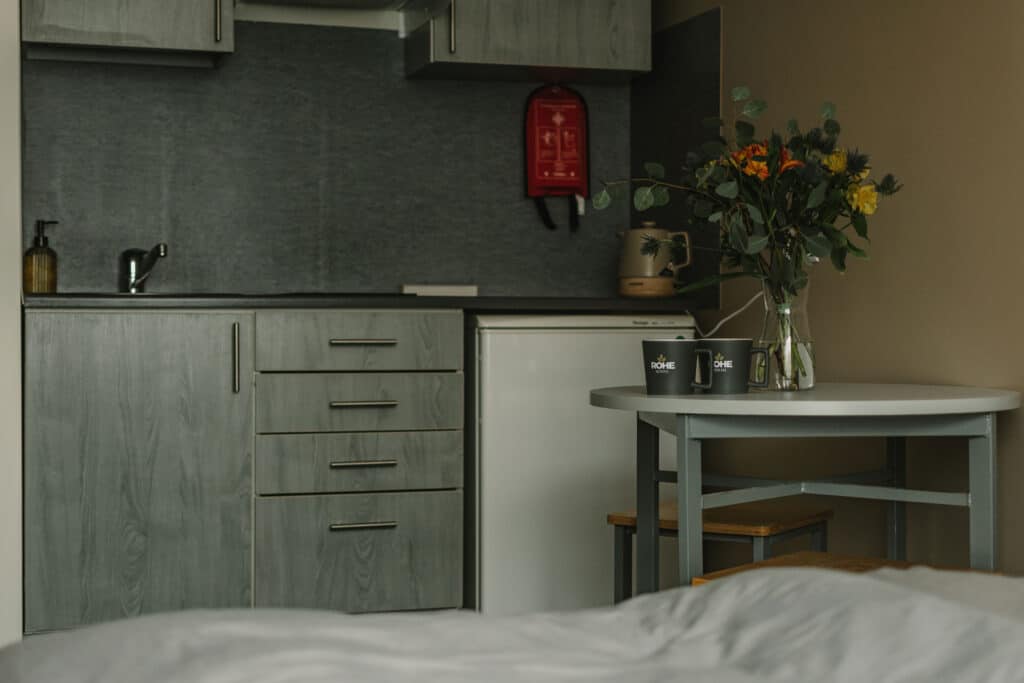 monusalt-roheline-oobimine-tartus-010-visit-estonia-17