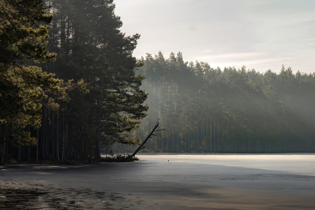 Frozen lake in the embrace of mist in South Estonia