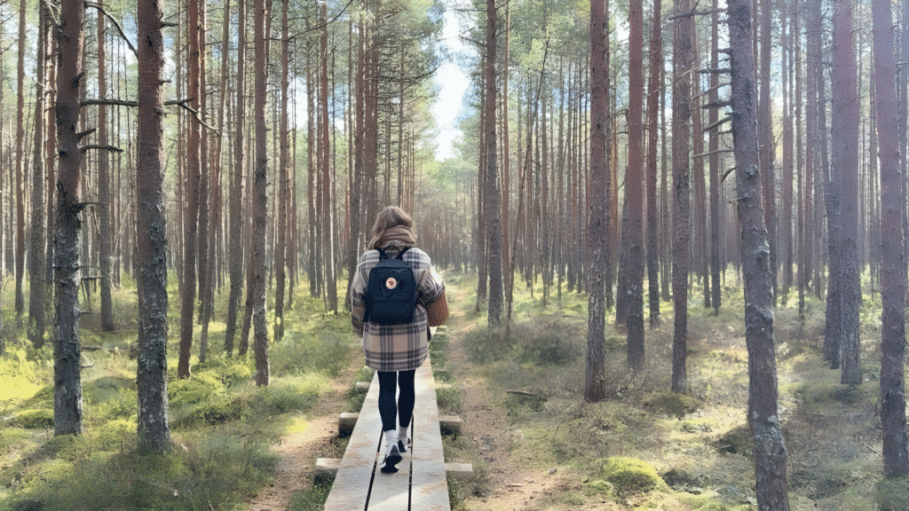 mustjarve-matkarada-016-visit-estonia