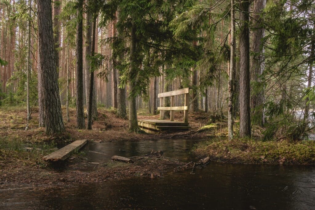 mustjarve-matkarada-016-visit-estonia