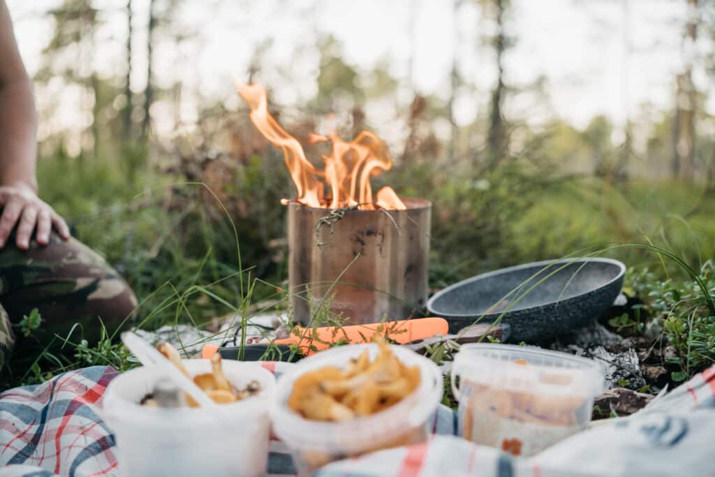 nature-tours-estonia-kanuuretked-emajoe-suursoo-vetel-008-visit-estonia