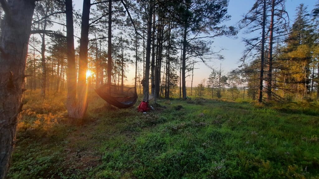 nature-tours-estonia-oobimisega-rabamatk-013-visit-estonia