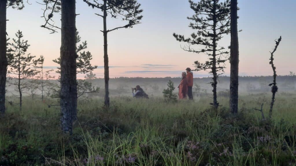 nature-tours-estonia-oobimisega-rabamatk-014-visit-estonia