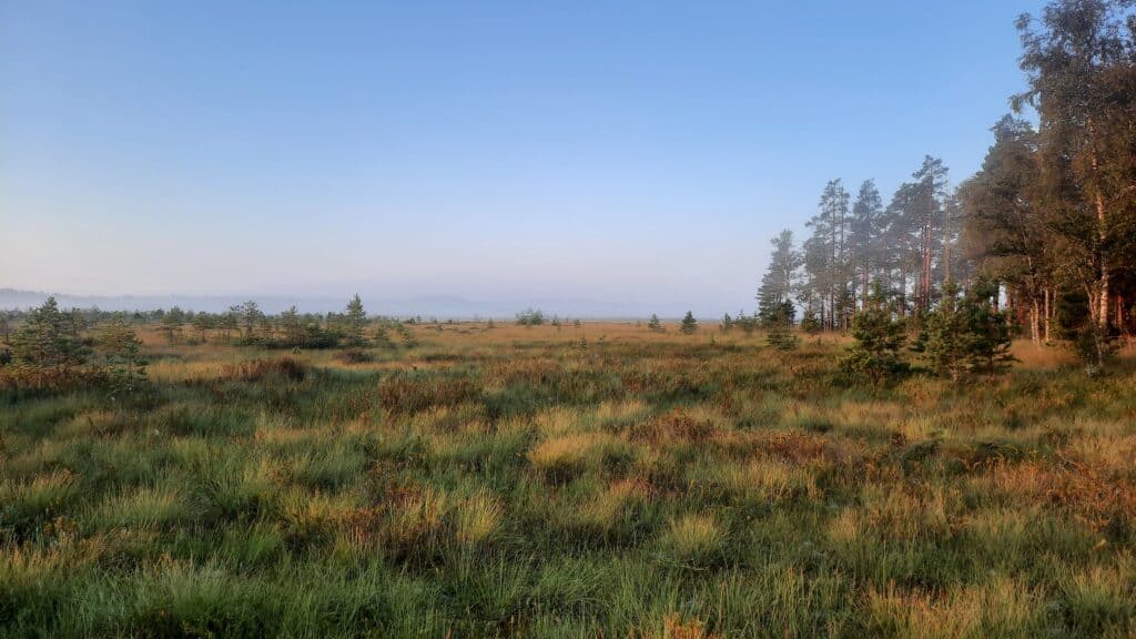 nature-tours-estonia-raatsamatk-emajoe-suursoos-008-visit-estonia-1