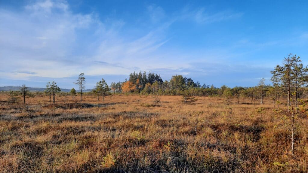 nature-tours-estonia-raatsamatk-emajoe-suursoos-009-visit-estonia-1