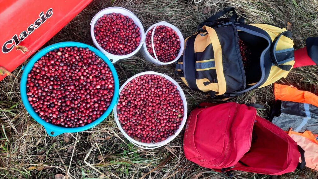 nature-tours-estonia-traditsiooniline-johvikaretk-emajoe-suursoos-003-visit-estonia