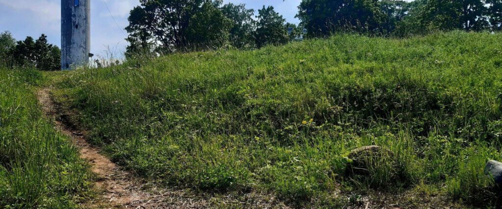 nina-kivi-kulv-visit-tartu-visit-lake-peipus-onion-route-tartu-visit-estonia-maigilokko