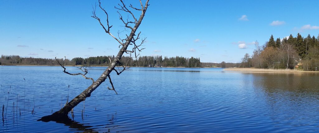 palumagede-hiking-trail-and-tenting-area-visit-tartu-visit-estonia-nature-11