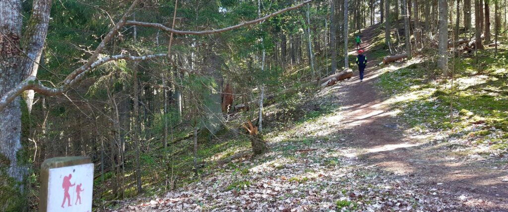 palumagede-hiking-trail-and-tenting-area-visit-tartu-visit-estonia-nature-5