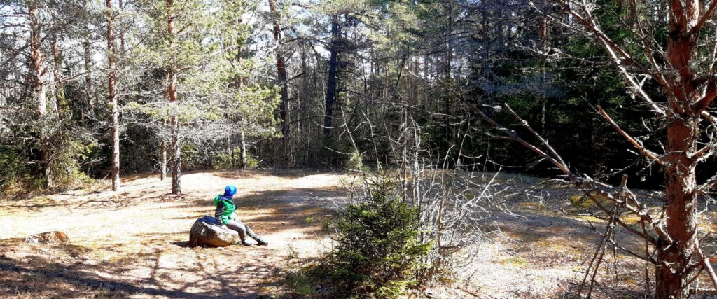 palumagede-hiking-trail-and-tenting-area-visit-tartu-visit-estonia-nature-7