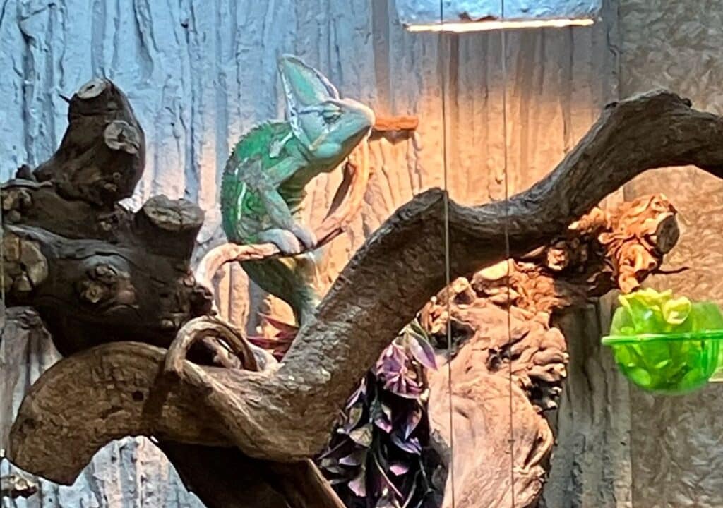 papagoi-keskus-tartu-006-visit-estonia