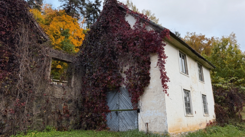 peedu-nuti-vesiveski-kompleks-012-visit-estonia