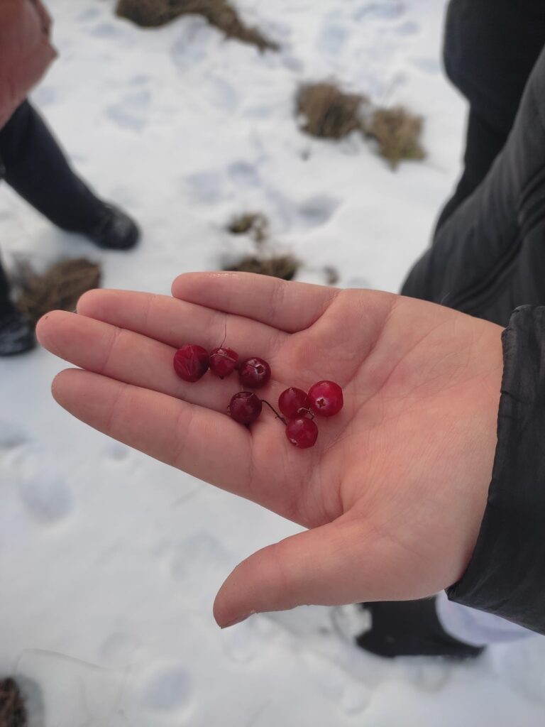 peipsi-ajalooliste-taliteede-matk-009-visit-estonia