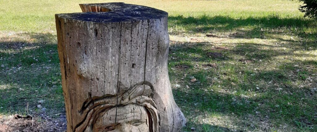 pikksaare-fireplace-area-near-Pangodi-tenting-area-visit-tartu-visit-estonia-nature-13