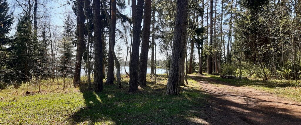 pikksaare-fireplace-area-near-Pangodi-tenting-area-visit-tartu-visit-estonia-nature-2