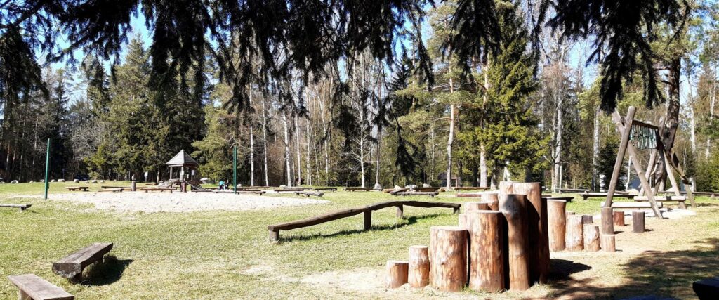 pikksaare-fireplace-area-near-Pangodi-tenting-area-visit-tartu-visit-estonia-nature-22