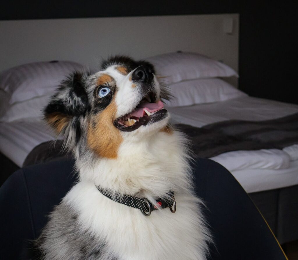 restoran-fii-011-visit-estonia