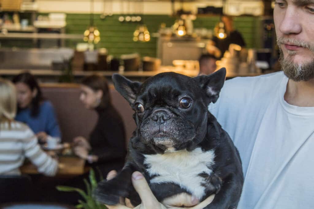 restoran-kolm-tilli-015-visit-estonia