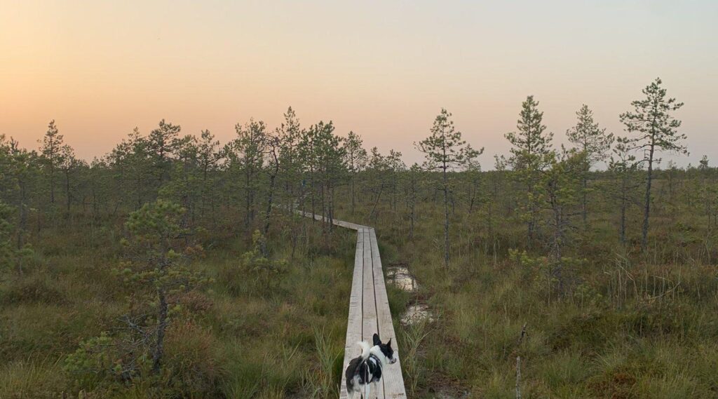 selli-sillaotsa-health-trail-visit-tartu-visit-estonia-winter-kerlisoe-5-katsetus