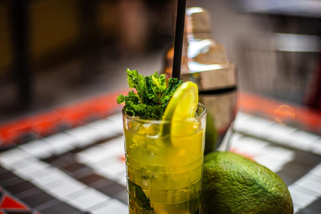 slou-004-visit-estonia