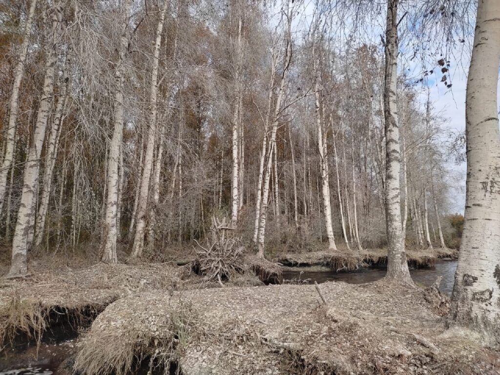 soo-safari-emajoe-suursoos-006-visit-estonia