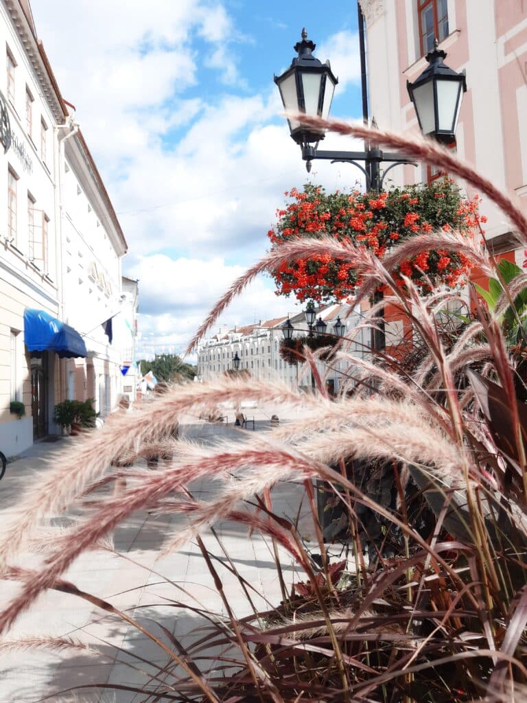 soolotuur-giidiga-tartu-vanalinnas-013-visit-estonia