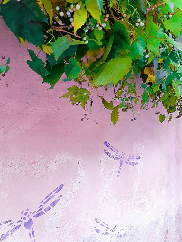 soolotuur-giidiga-tartu-vanalinnas-014-visit-estonia