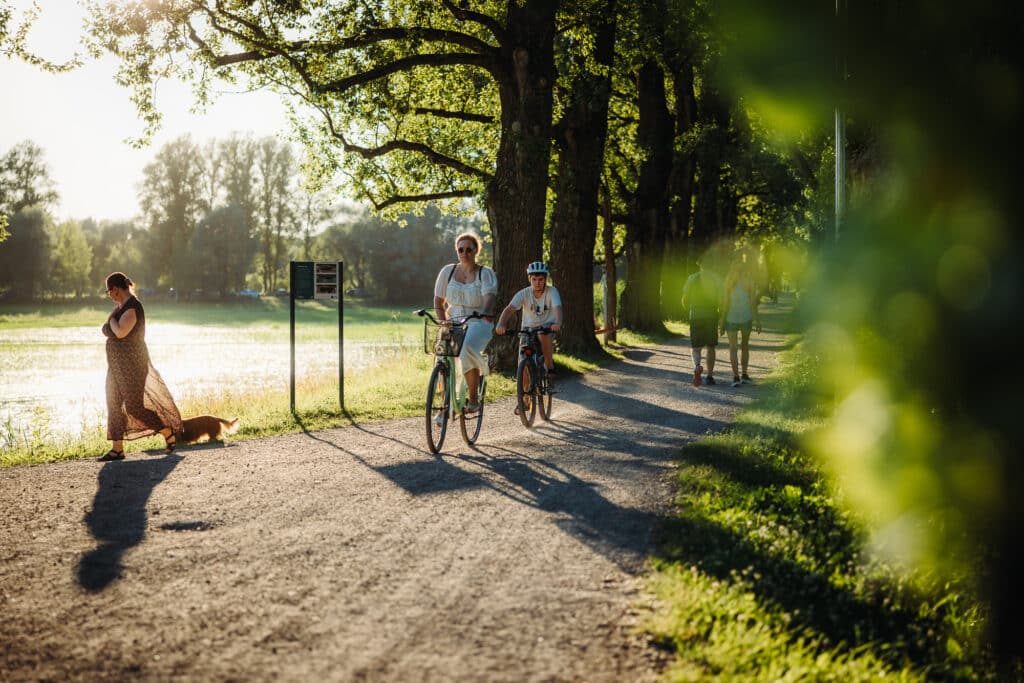 supilinn-miljoovaartuslik-puitlinn-014-visit-estonia-2