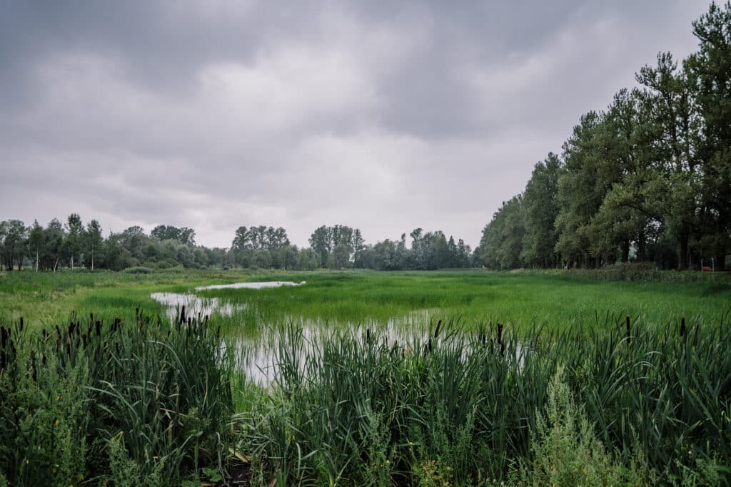 supilinn-miljoovaartuslik-puitlinn-016-visit-estonia-2