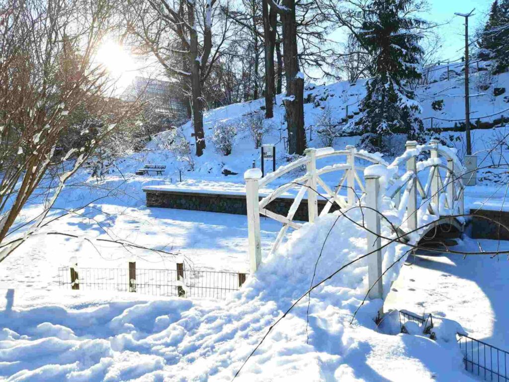 talvemuinasjutt-giidiga-jalutuskaik-talvises-tartus-012-visit-estonia