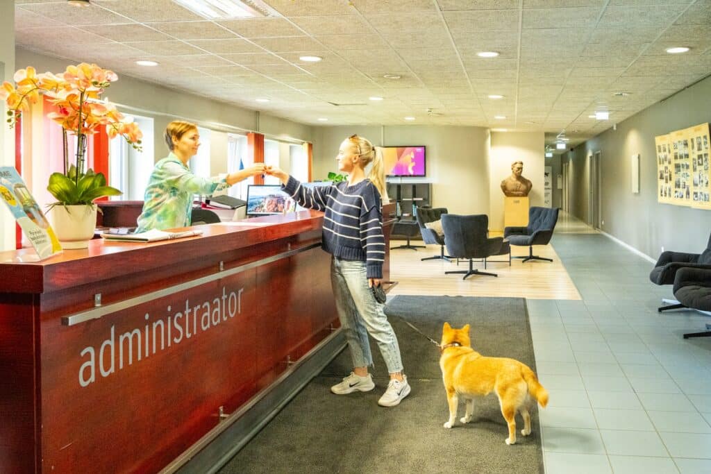 Pet-friendly hostel