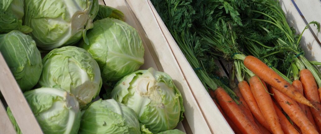 tartu-farmers-market-cabbage-carrots-visit-tartu-visit-estonia