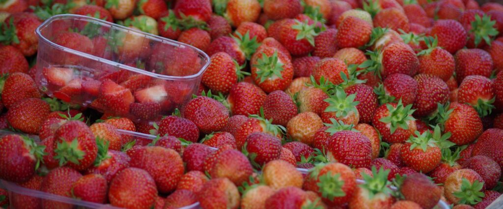 tartu-farmers-market-strawberries-visit-tartu-visit-estonia