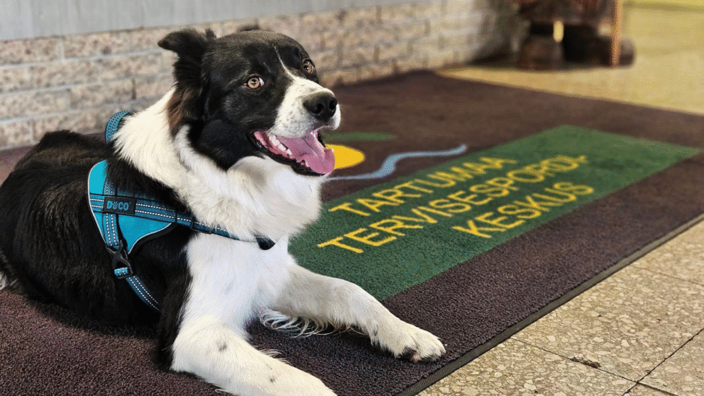 tartumaa-tervisespordikeskuse-hostel-013-visit-estonia