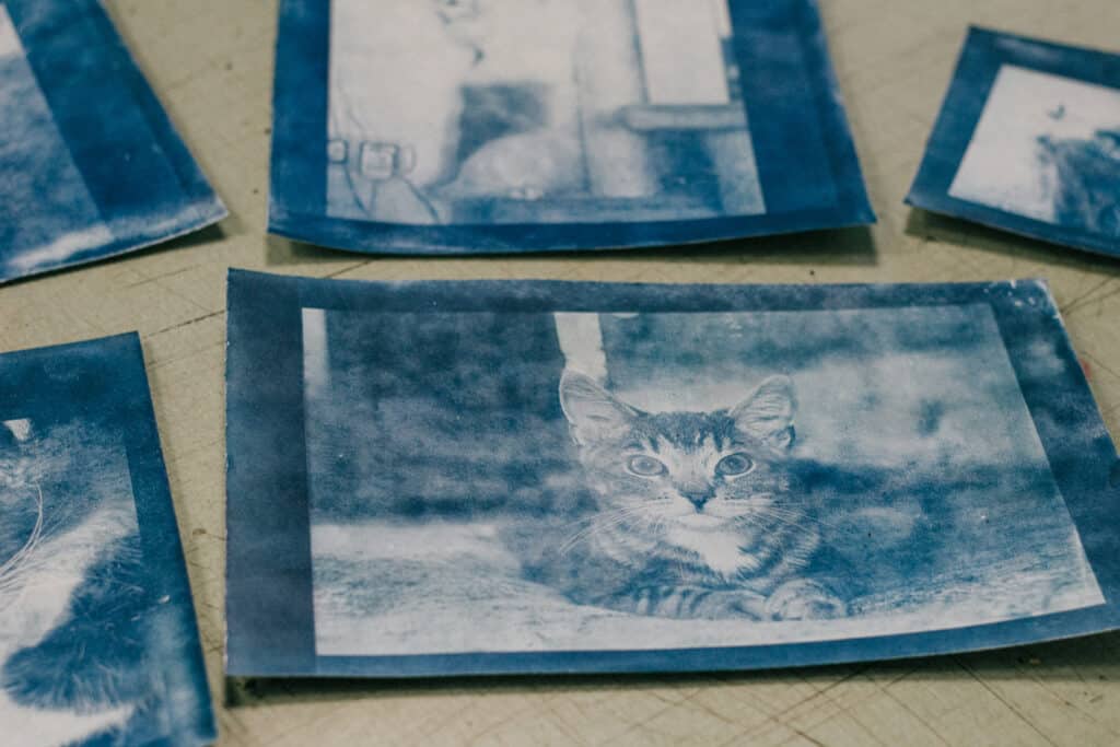 tsuanotuupia-paberile-typas-001-visit-estonia