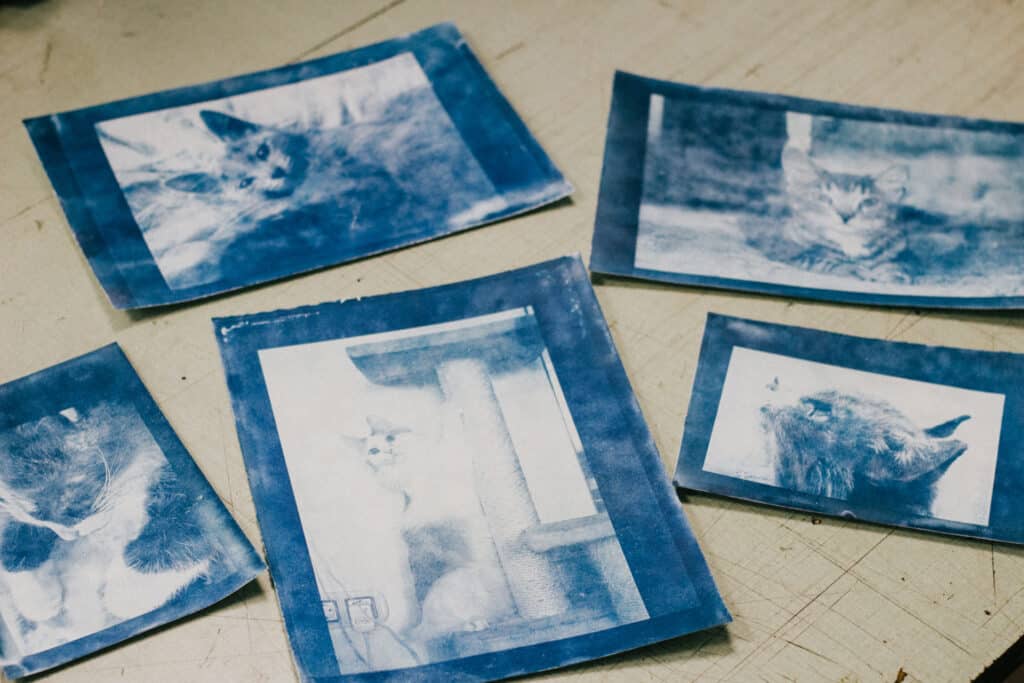 tsuanotuupia-paberile-typas-002-visit-estonia