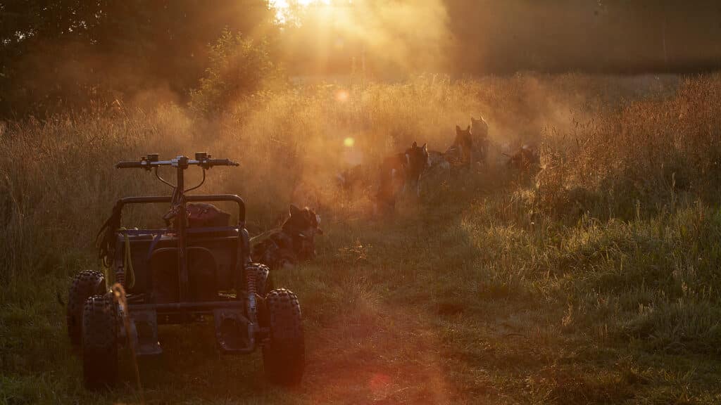 tule-kelgukoerte-voistlusrakendiga-trenni-kaasa-002-visit-estonia