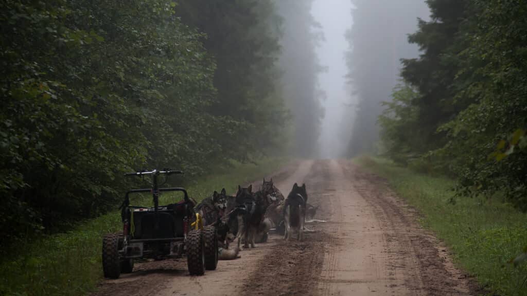 tule-kelgukoerte-voistlusrakendiga-trenni-kaasa-003-visit-estonia