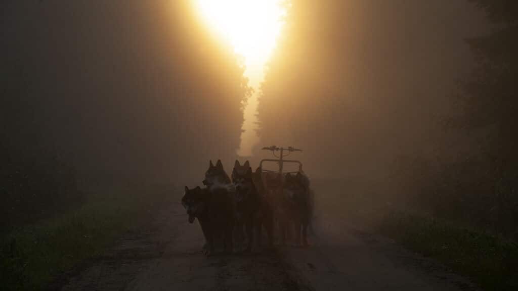 tule-kelgukoerte-voistlusrakendiga-trenni-kaasa-004-visit-estonia